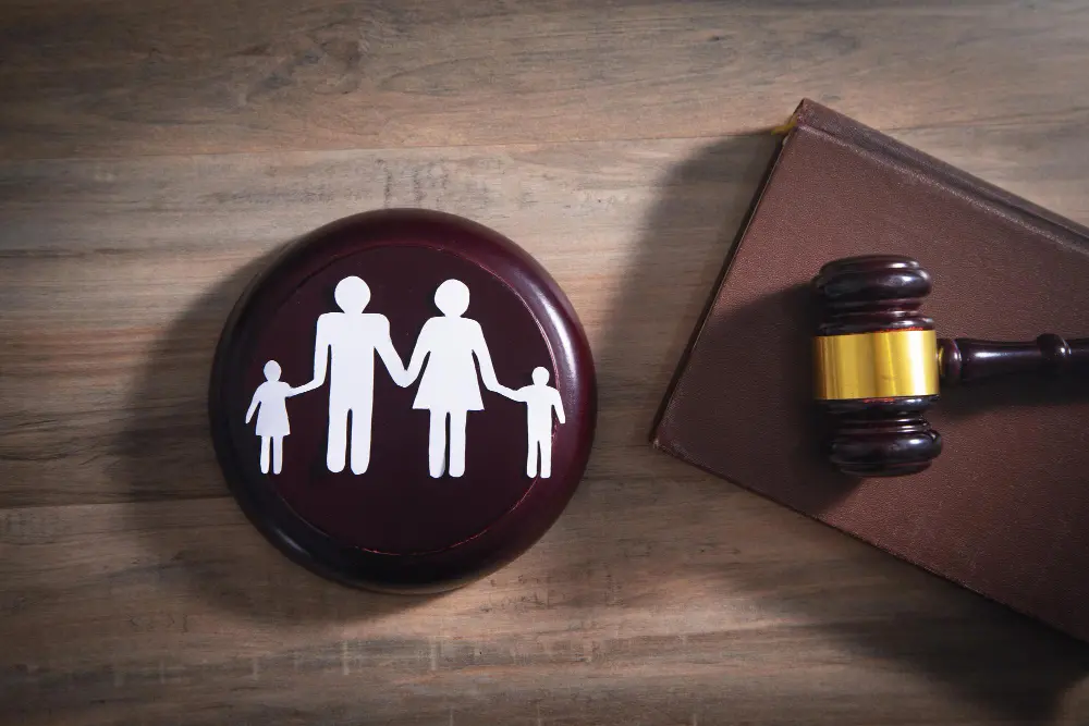 Customized Approaches for Varied Family Law Needs