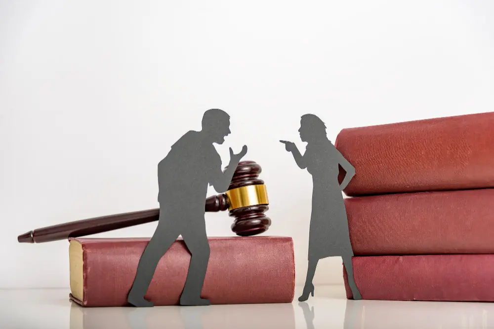 Navigating Interim Support During Your Divorce Proceedings